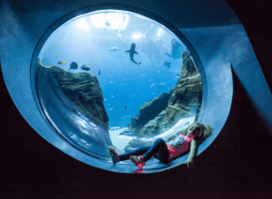 GA Aquarium girl in observation area