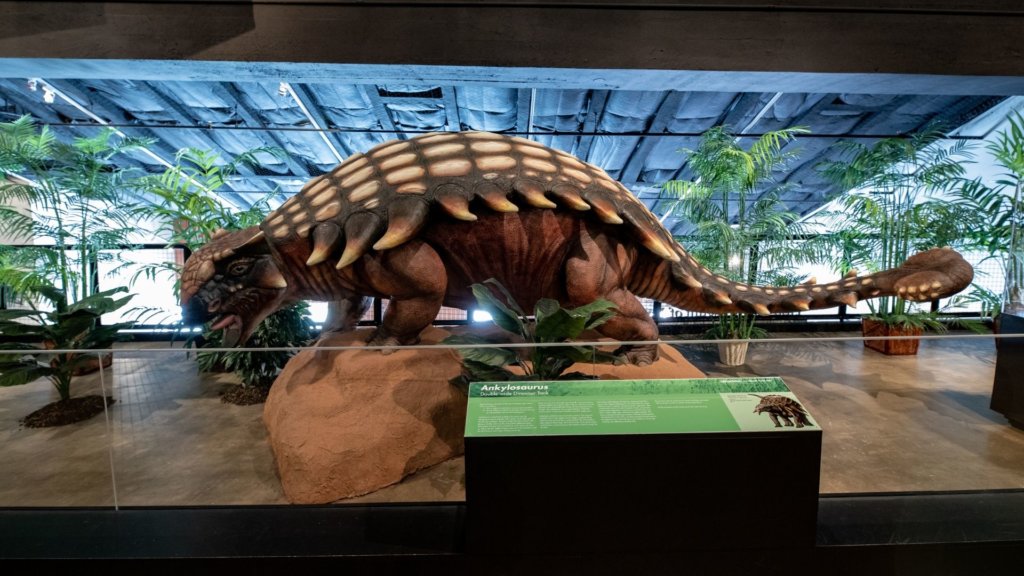 The Houston Museum of Natural Science at Sugar Land