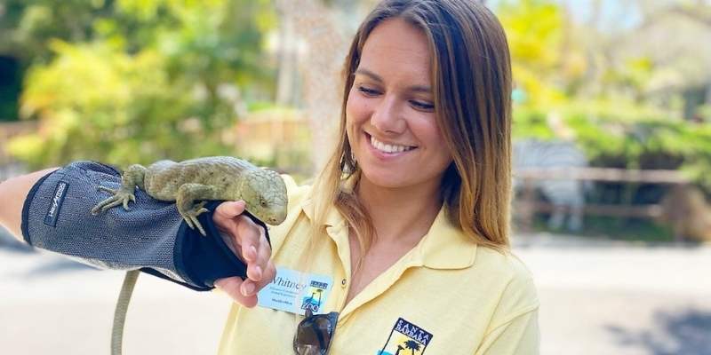 Santa Barbara Zoo Lizard Experience