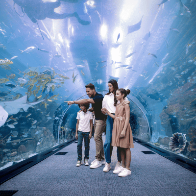 Dubai Aquarium & Underwater Zoo by EMAAR Entertainment